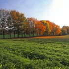 herbstliche Kette