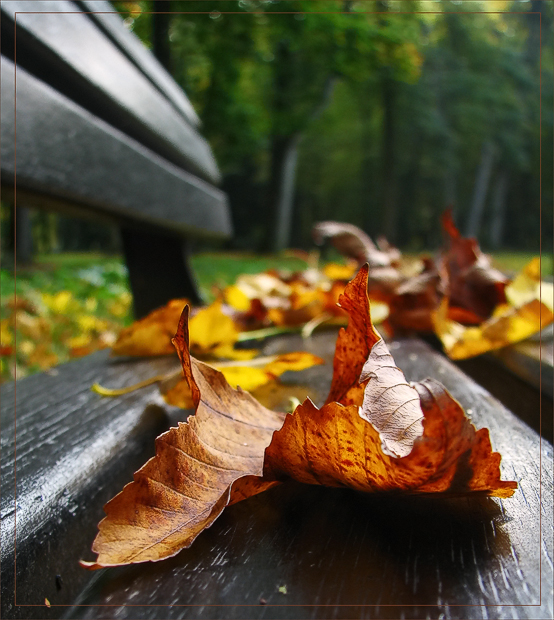 Herbstliche Kleider