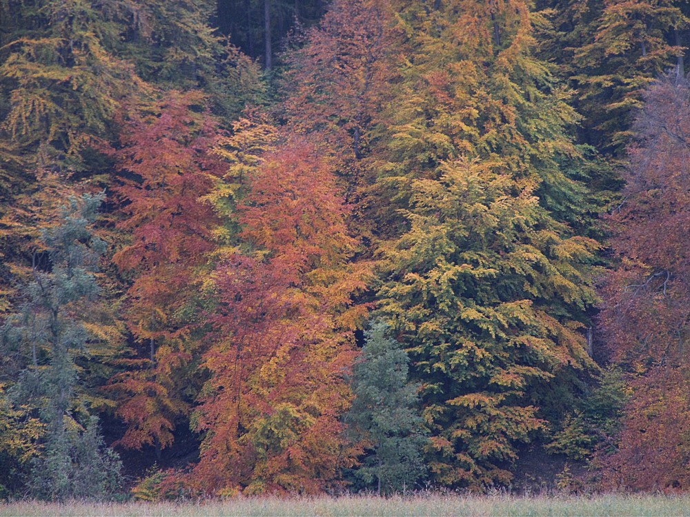 Herbstliche Kleider