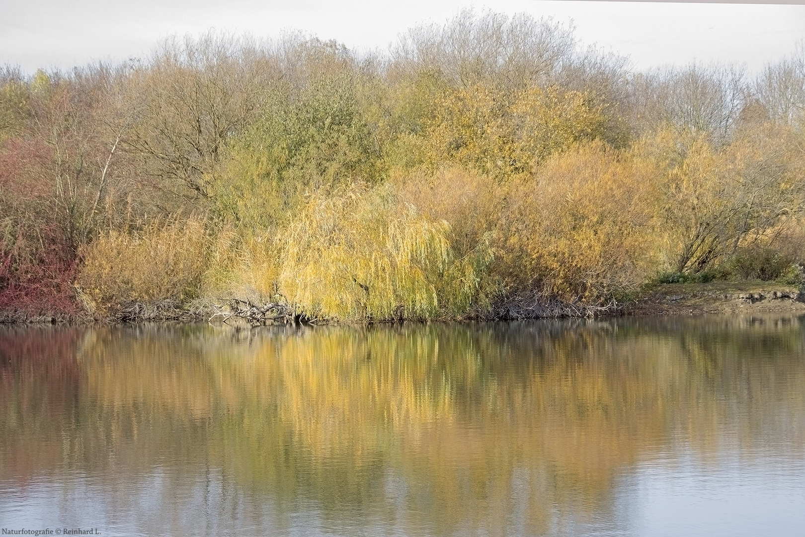 Herbstliche Koldinger Teiche 3 Foto & Bild bäume, teich, natur Bilder
