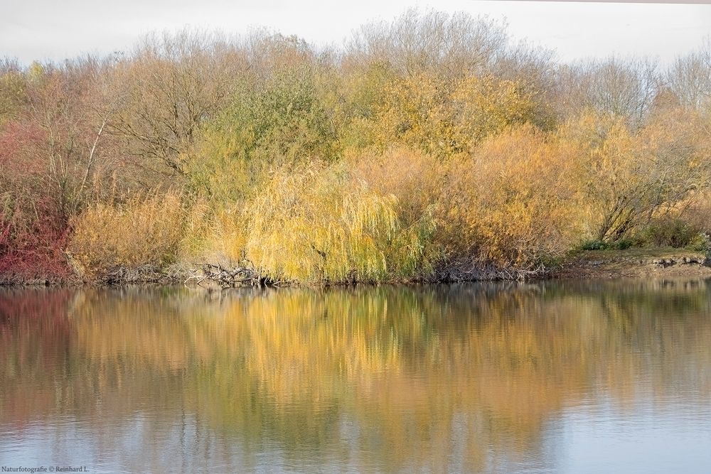 Herbstliche Koldinger Teiche 3