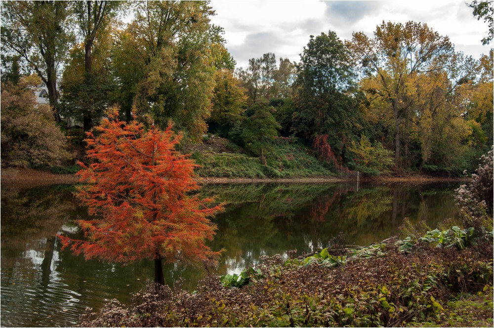 Herbstliche Kontraste ...