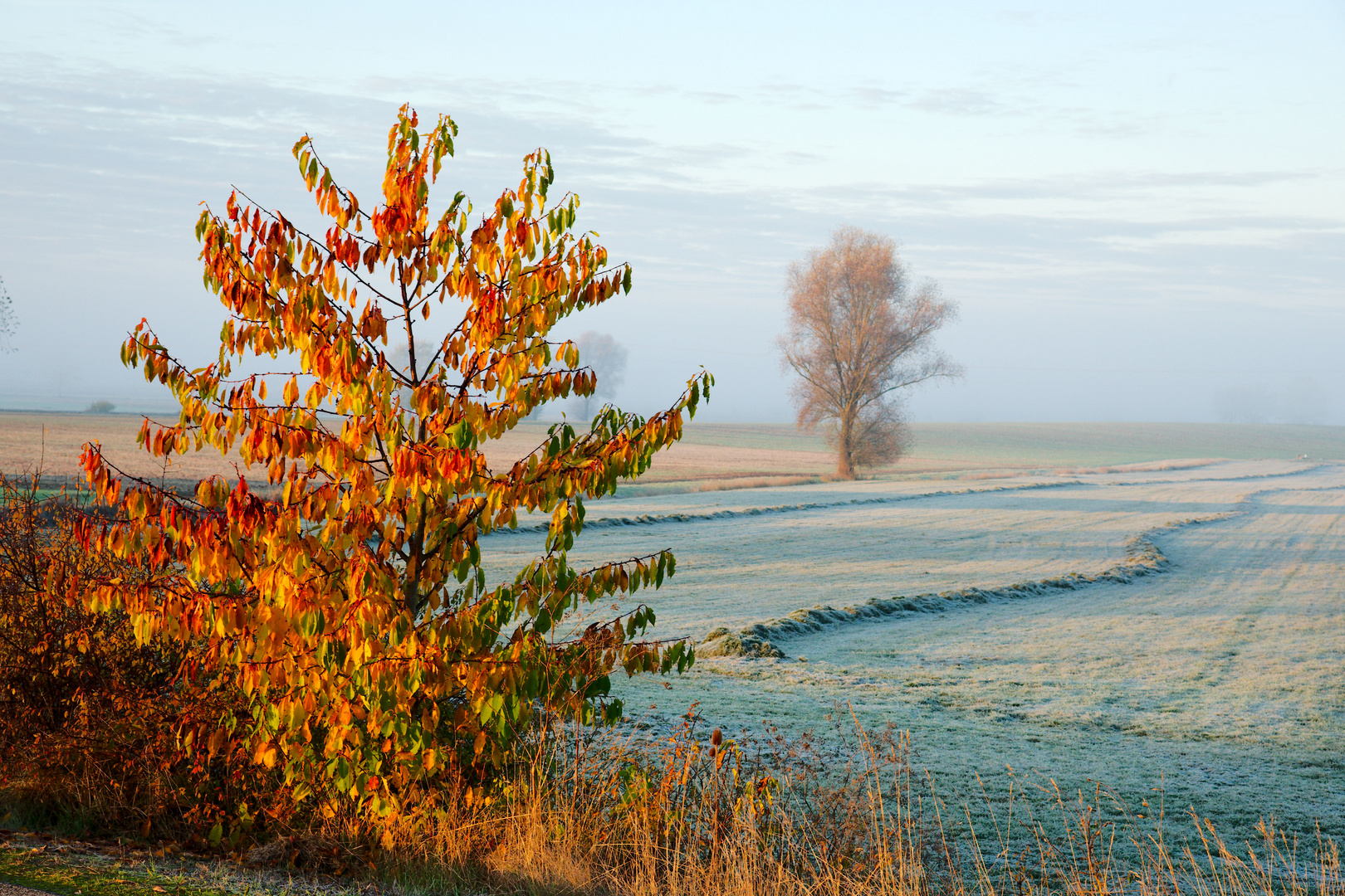 herbstliche Kontraste