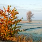 herbstliche Kontraste