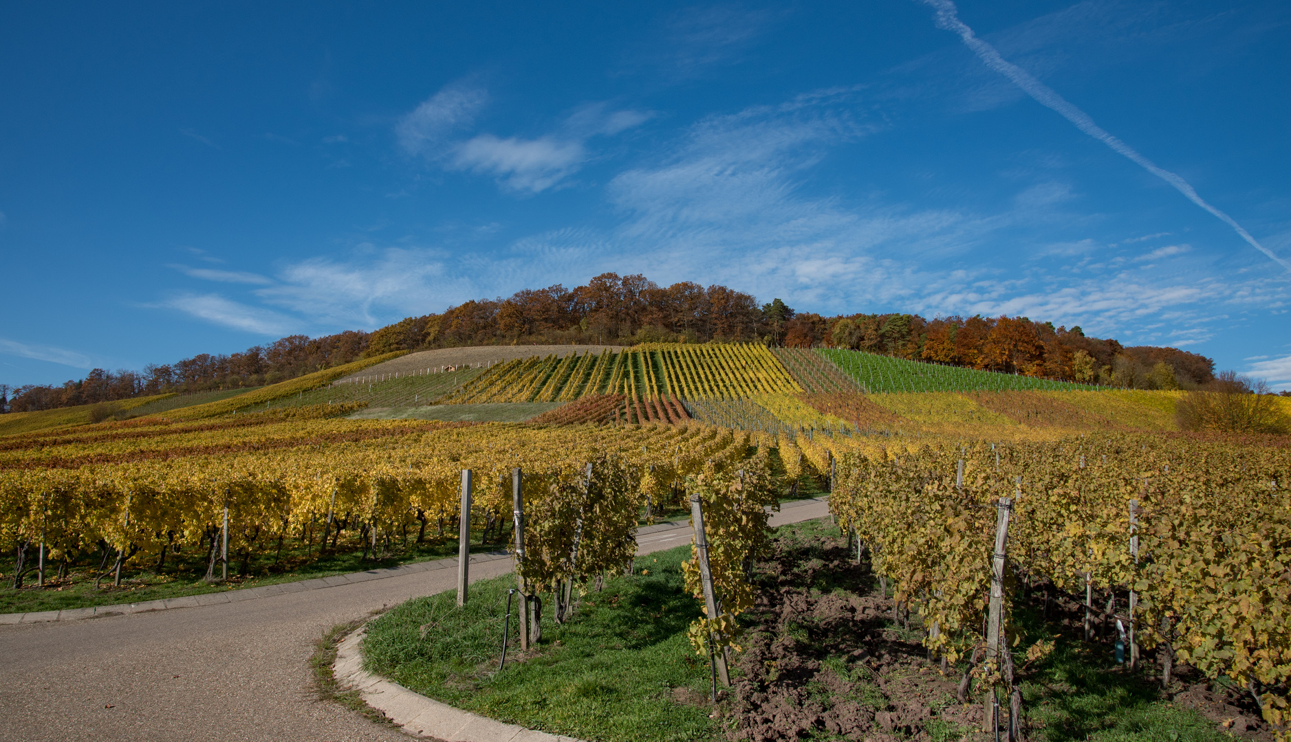 Herbstliche Kraichgauer Weinberge