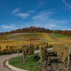 Herbstliche Kraichgauer Weinberge