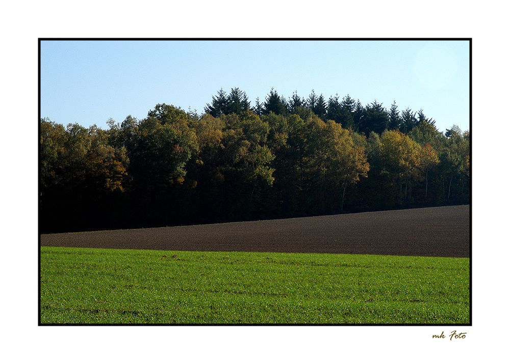 Herbstliche Kulturlandschaft in der Pfalz