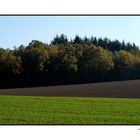 Herbstliche Kulturlandschaft in der Pfalz