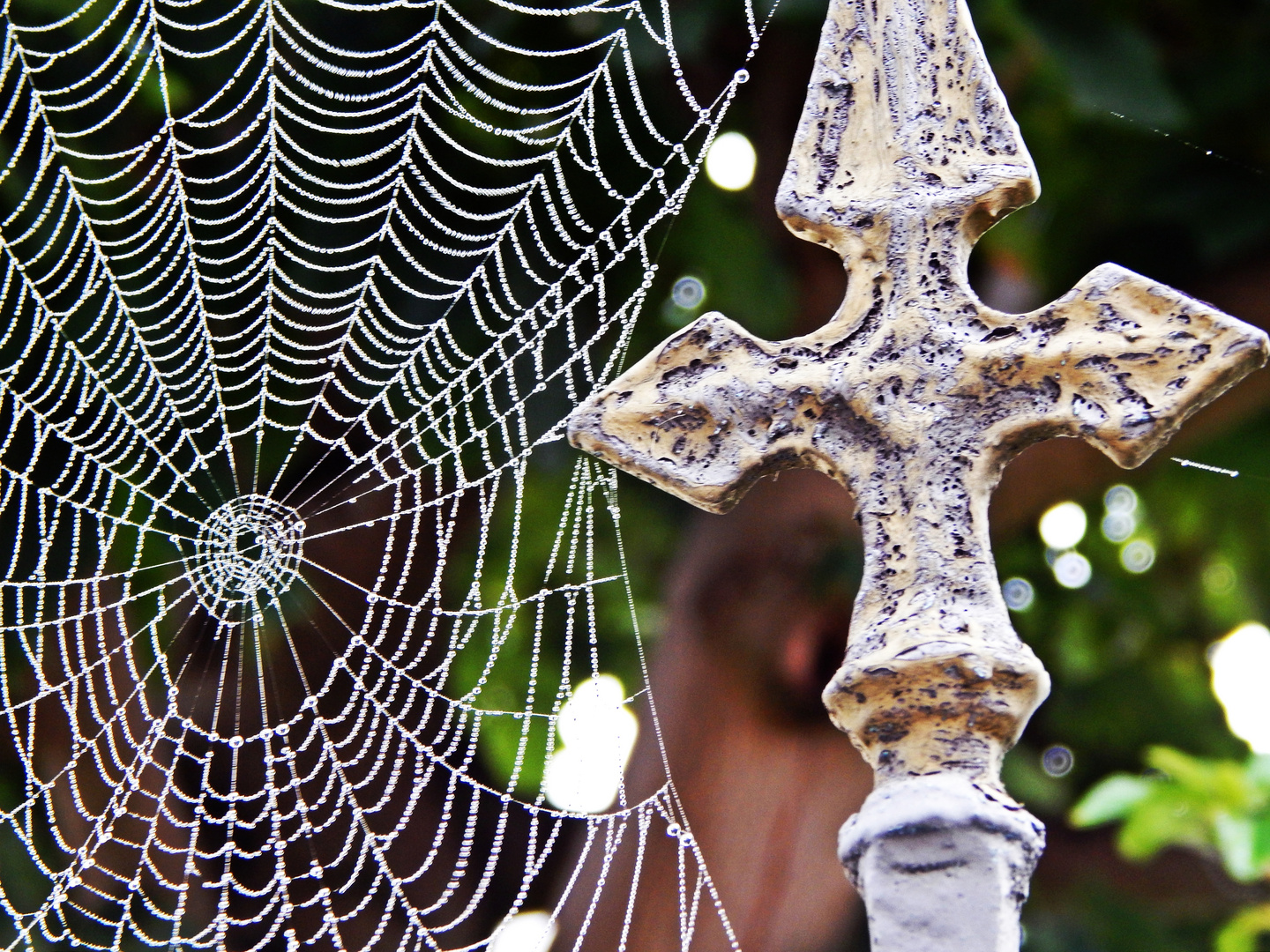 Herbstliche Kunst des Nebels