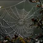 Herbstliche Kunstwerke