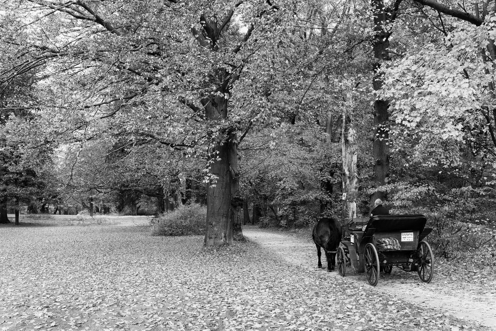 Herbstliche Kutschfahrt