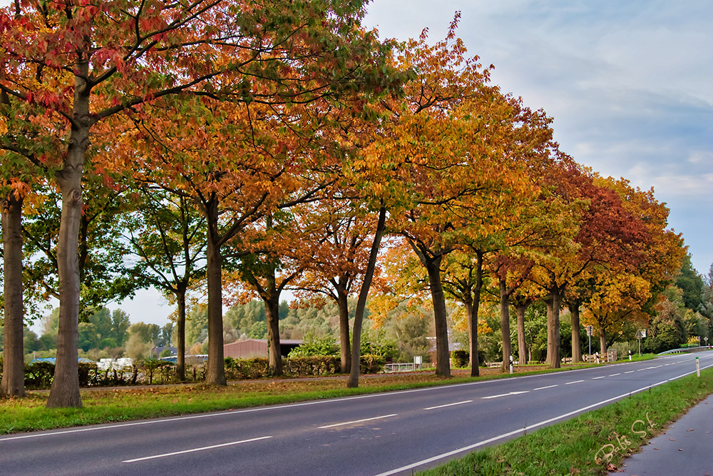 herbstliche L 480....