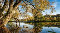 Herbstliche Lahn