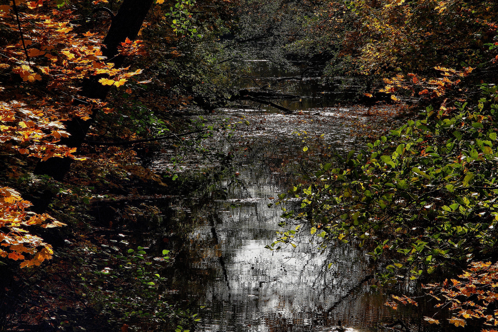 Herbstliche Lahn in Marburg