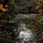 Herbstliche Lahn in Marburg