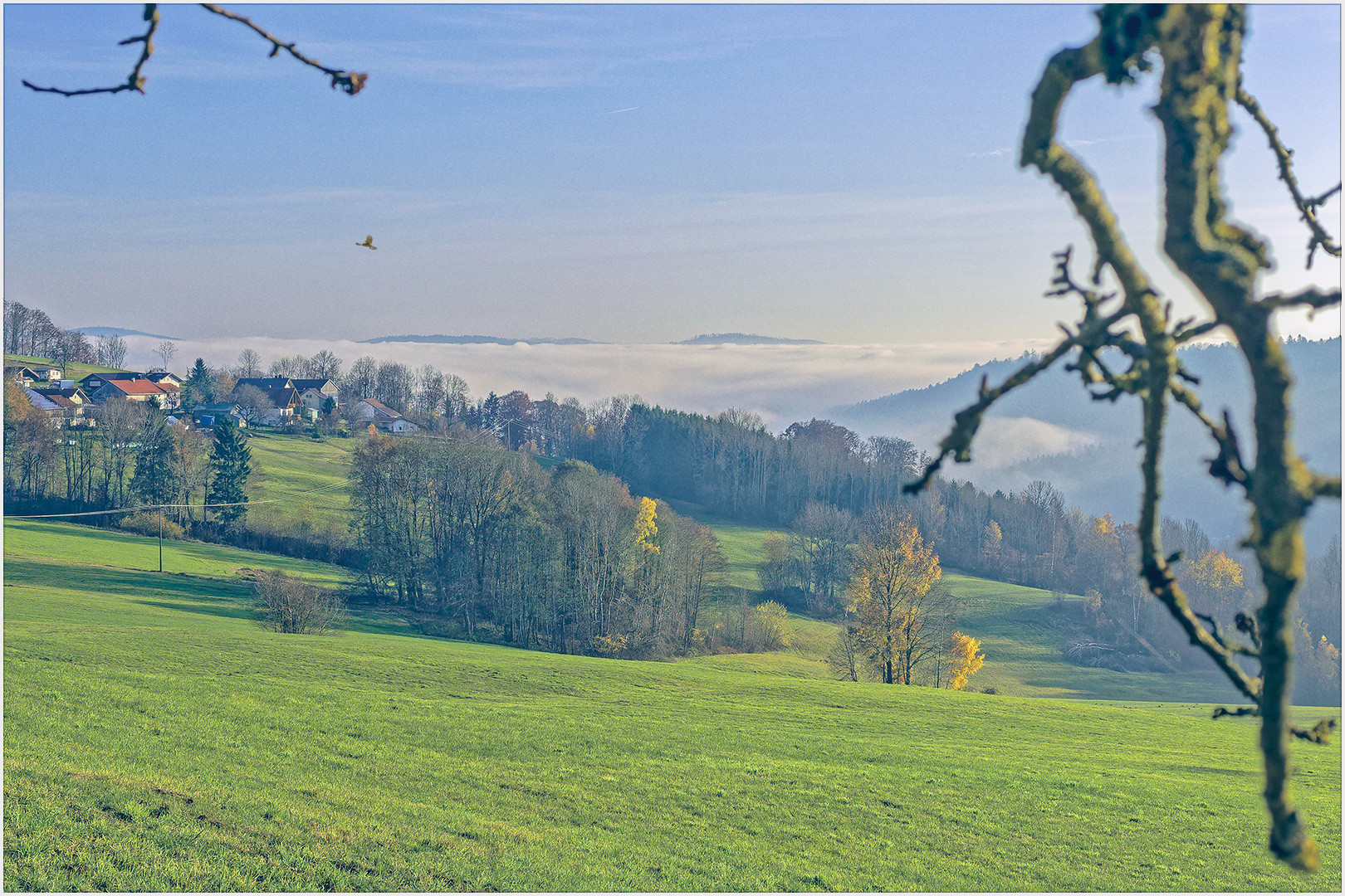 Herbstliche Landluft im Bayerwald