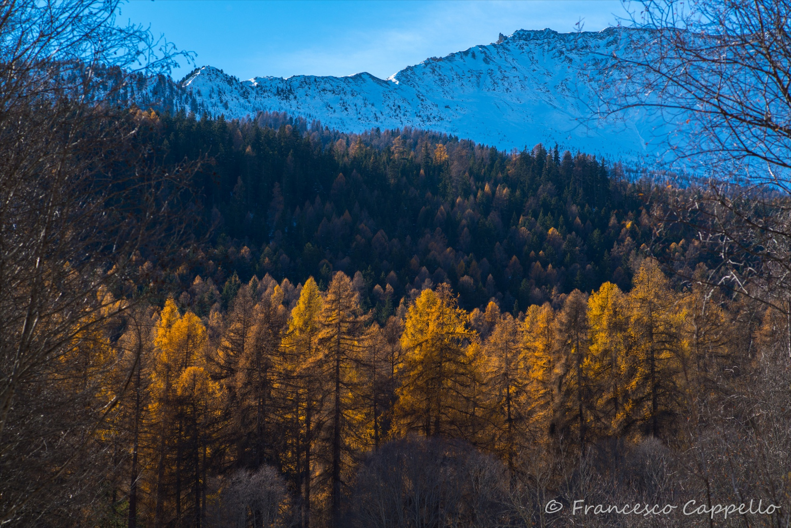 herbstliche Landschaft