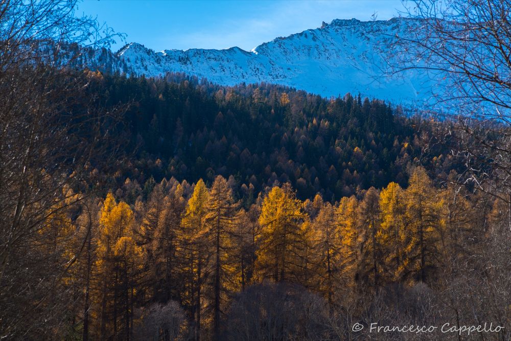 herbstliche Landschaft