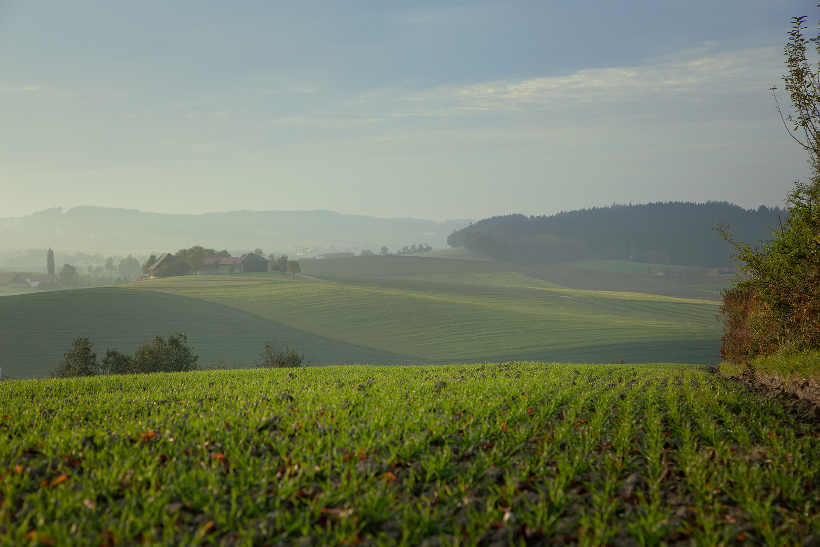 herbstliche Landschaft