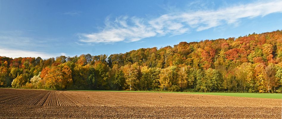 Herbstliche Landschaft....