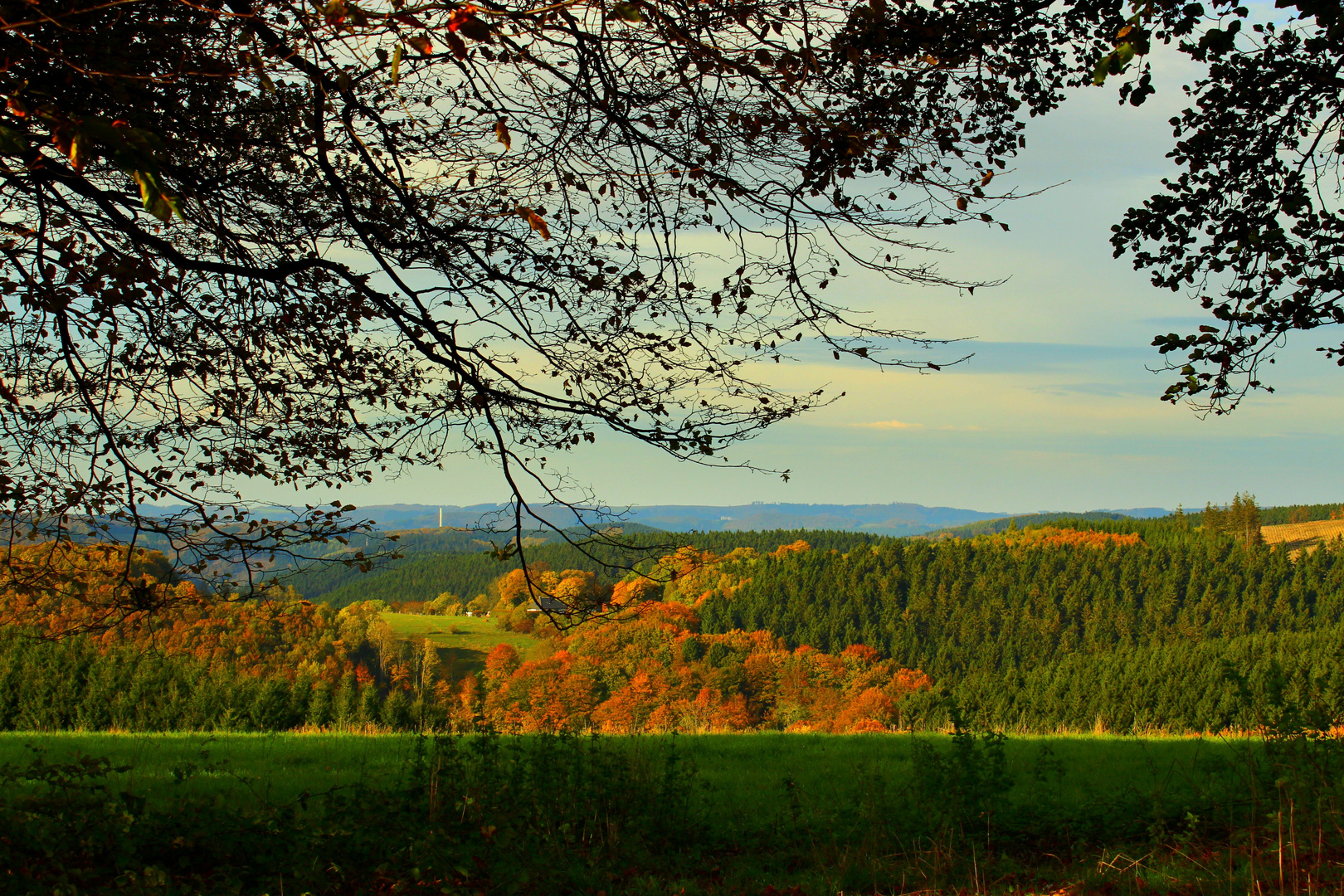 Herbstliche Landschaft