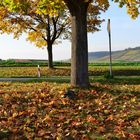 herbstliche Landschaft