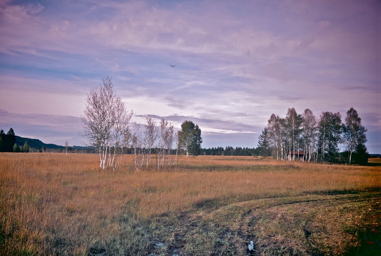 herbstliche Landschaft