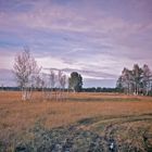 herbstliche Landschaft