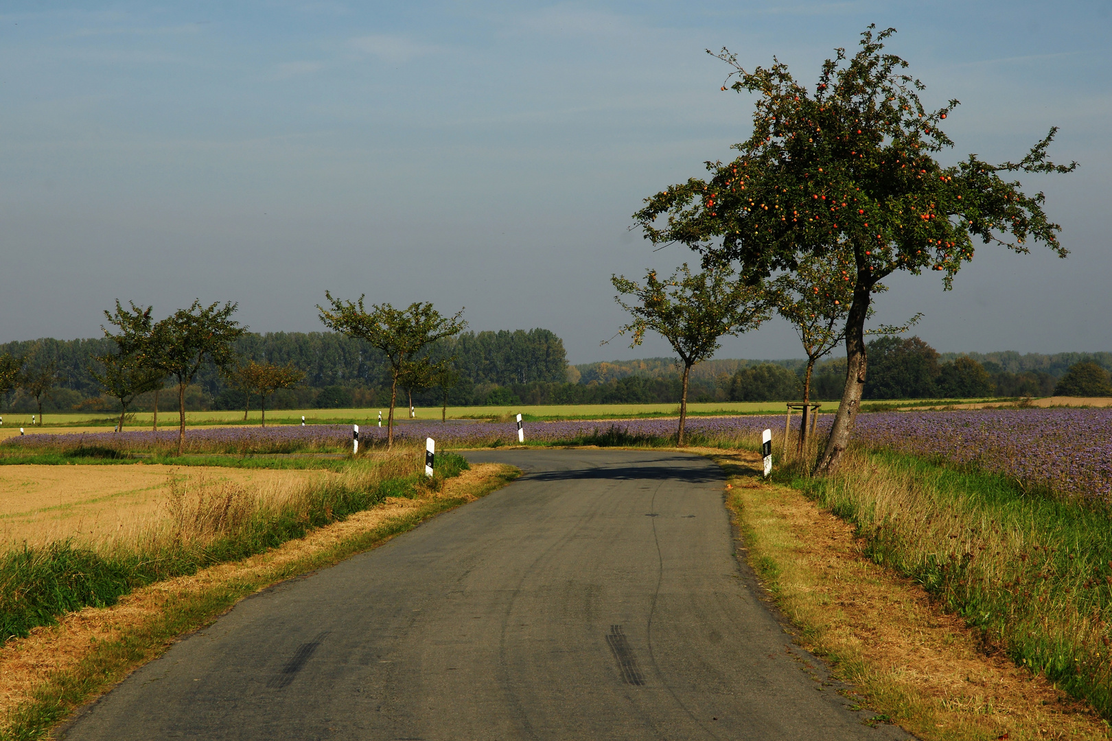 Herbstliche Landschaft