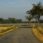 Herbstliche Landschaft