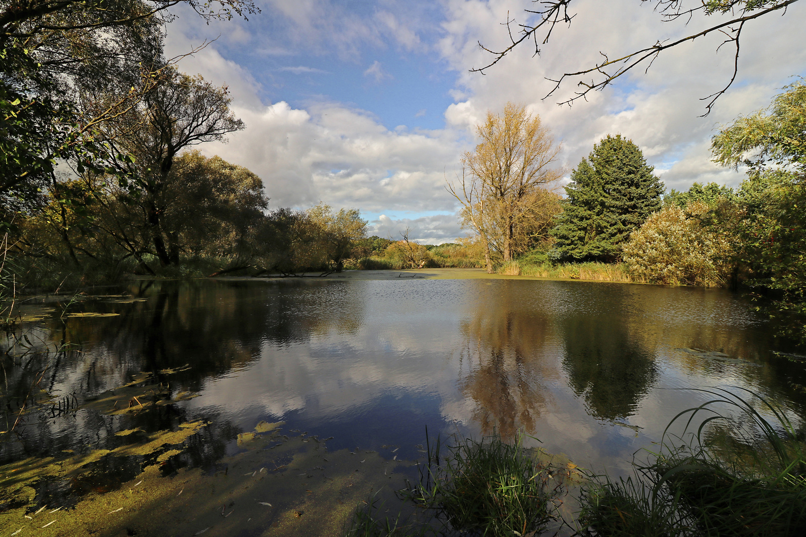 Herbstliche Landschaft