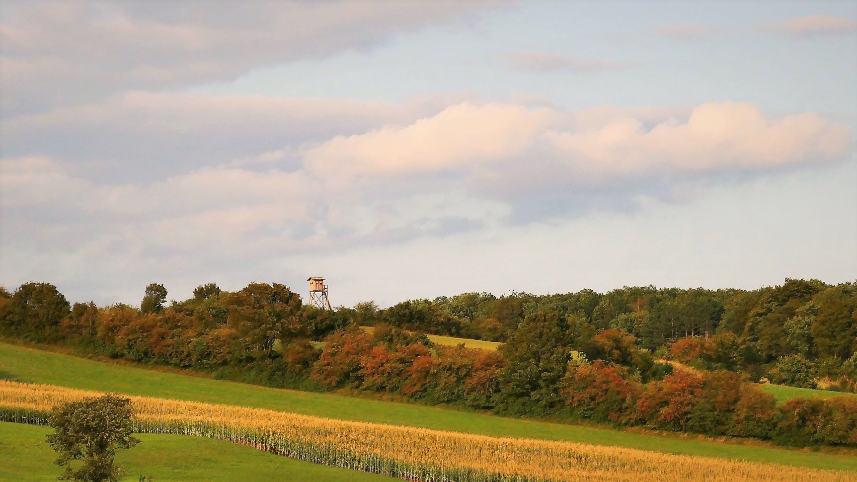 Herbstliche Landschaft