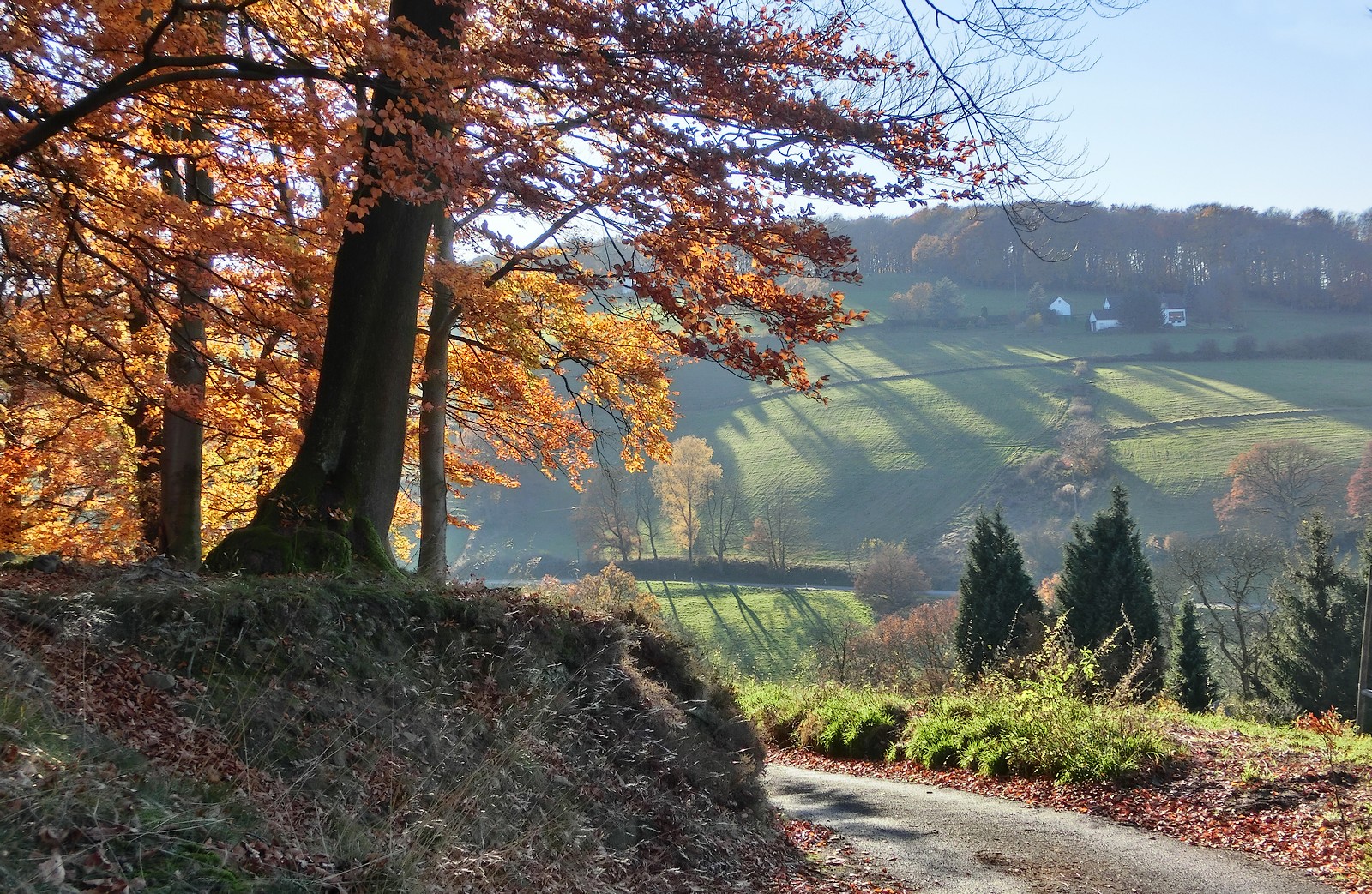 Herbstliche Landschaft