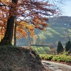 Herbstliche Landschaft