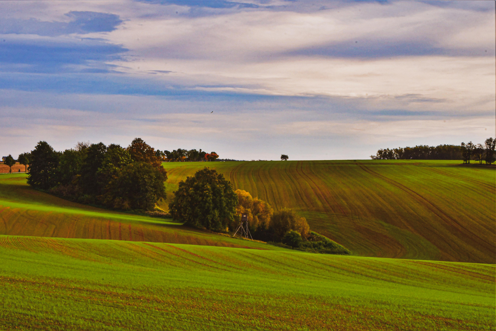 Herbstliche Landschaft