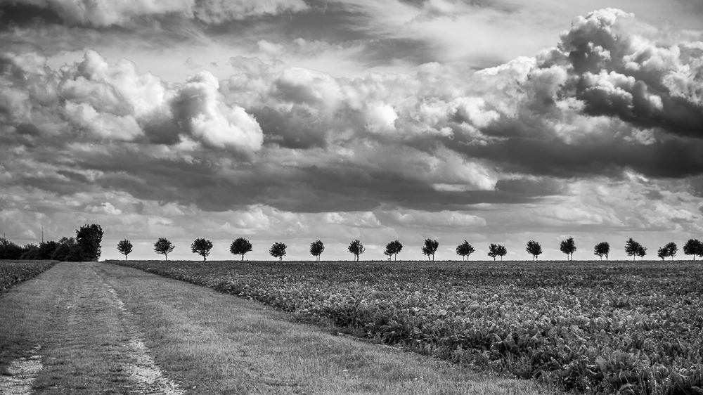 Herbstliche Landschaft