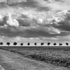 Herbstliche Landschaft