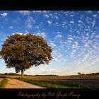 Herbstliche Landschaft bei Haltern