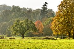 Herbstliche Landschaft bei Maria Laach, Eifel