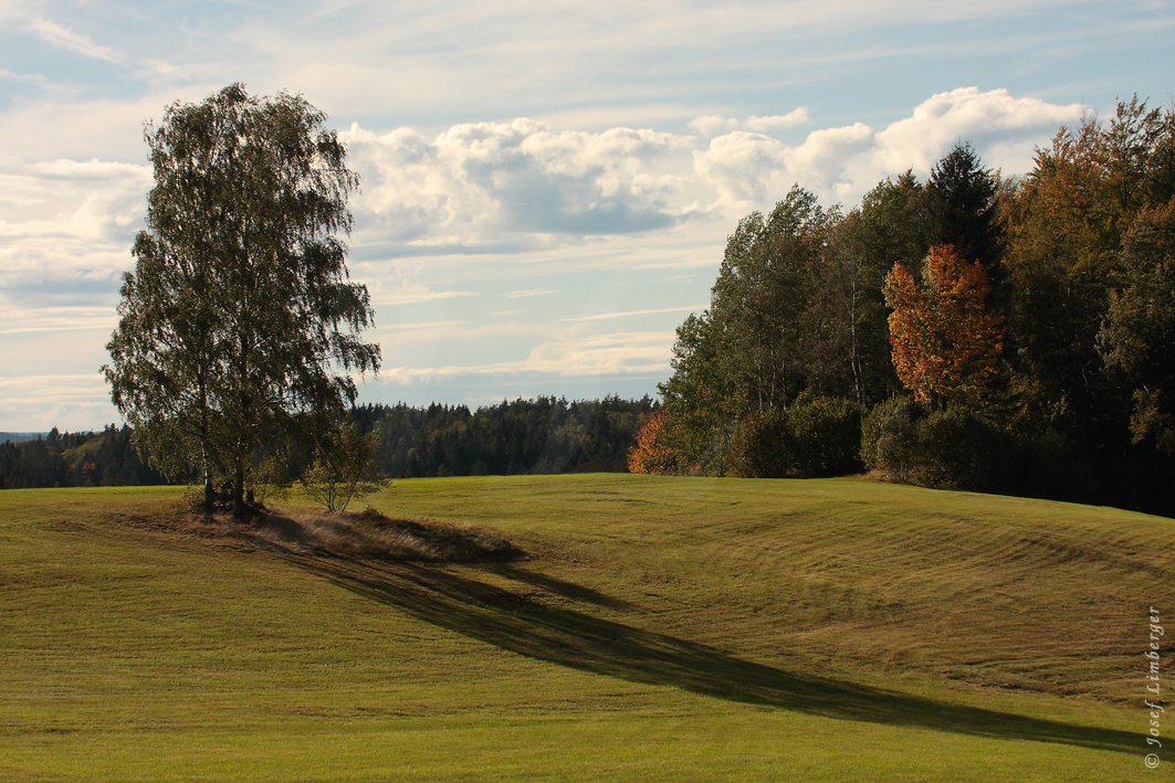  Herbstliche Landschaft bei Perdetschlag Copyright Josef Limberger Windhaag b. Freistadt Oö. 