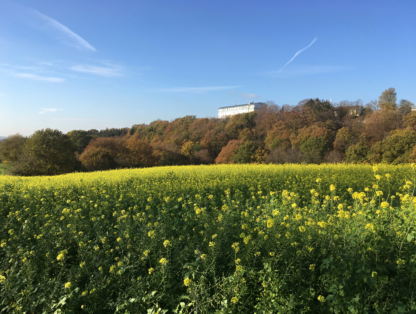 herbstliche Landschaft