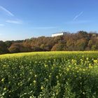 herbstliche Landschaft