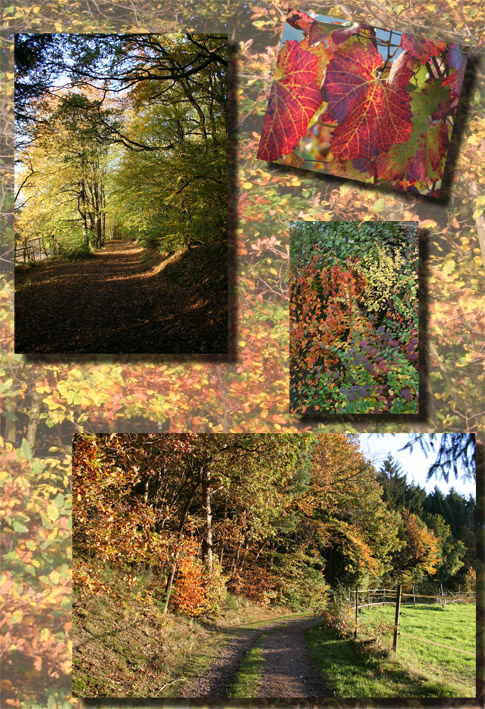 Herbstliche Landschaft