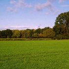 herbstliche Landschaft