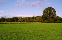 herbstliche Landschaft