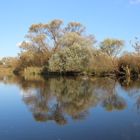 Herbstliche Landschaft gespiegelt II