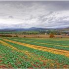 Herbstliche Landschaft III (paisaje otoñal IIl)