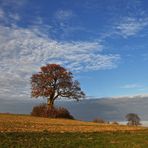 Herbstliche Landschaft im Odenwald