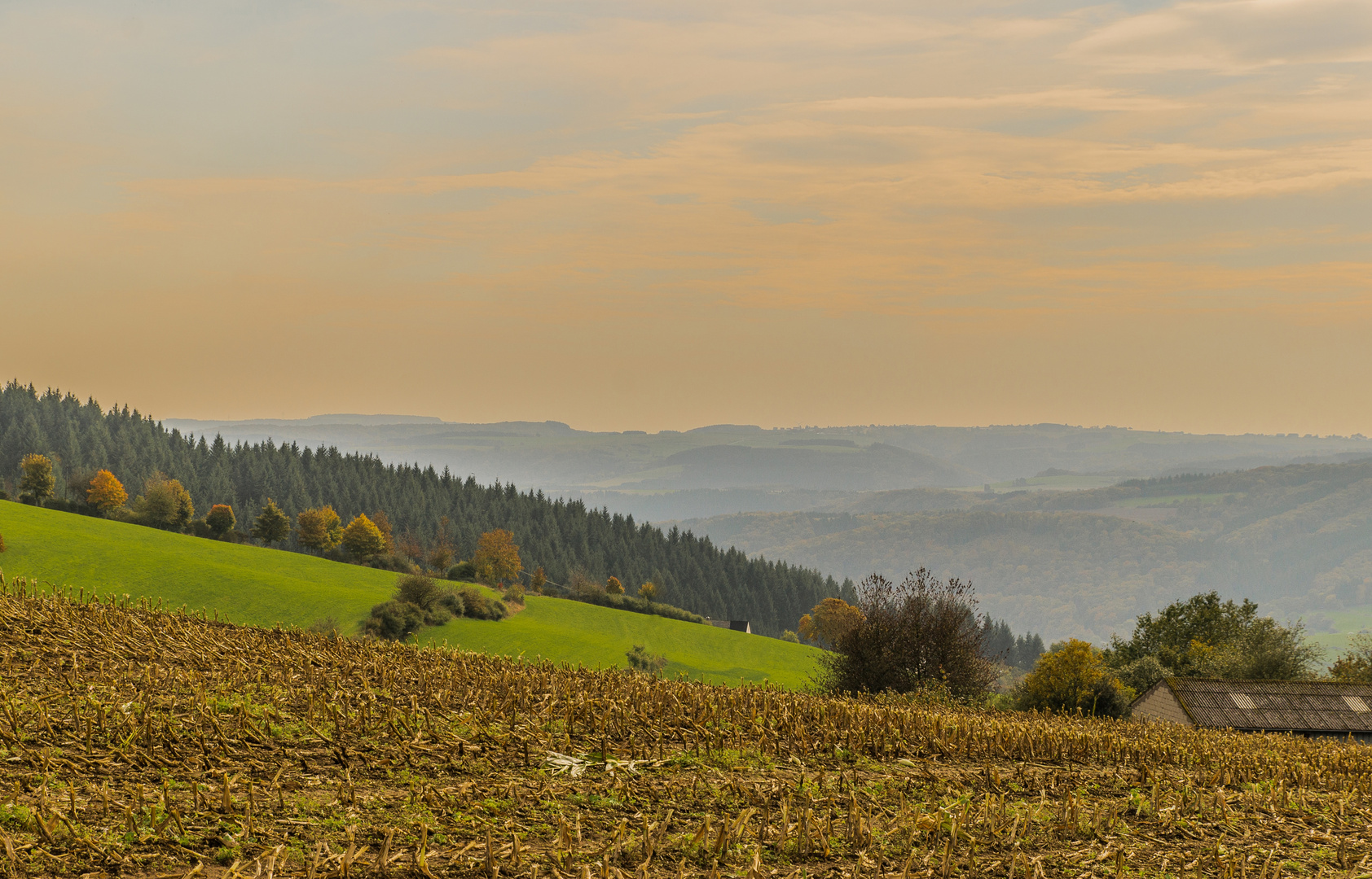 herbstliche Landschaft in der Eifel