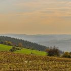 herbstliche Landschaft in der Eifel